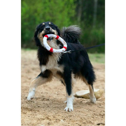 Rita Rettungsring - Kult-Spielzeug für Hunde
