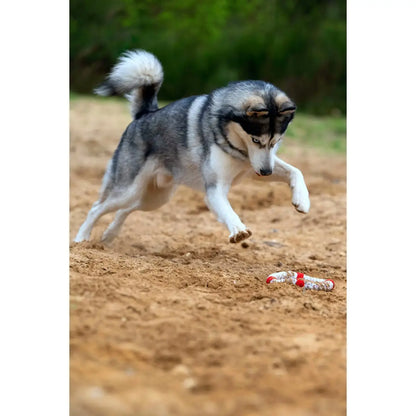 Rita Rettungsring - Kult-Spielzeug für Hunde