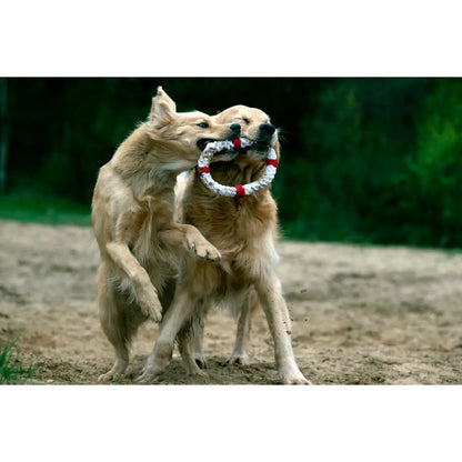 Rita Rettungsring - Kult-Spielzeug für Hunde