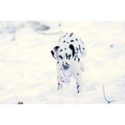 Shawn der Schneemann - Kult-Spielzeug für Hunde
