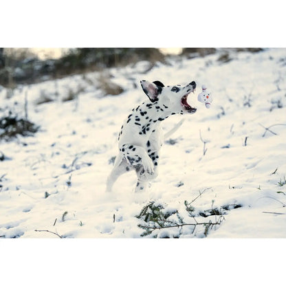 Shawn der Schneemann - Kult-Spielzeug für Hunde