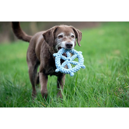 Skipper - Kult-Spielzeug für Hunde