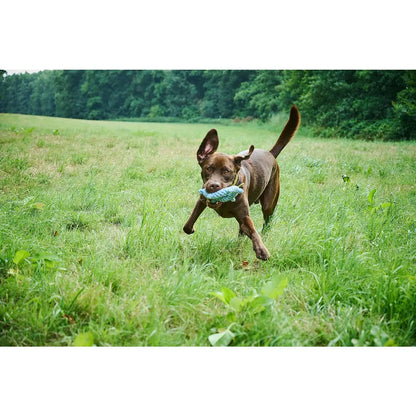 Skipper - Kult-Spielzeug für Hunde
