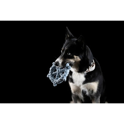 Skipper - Kult-Spielzeug für Hunde