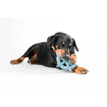 Skipper - Kult-Spielzeug für Hunde