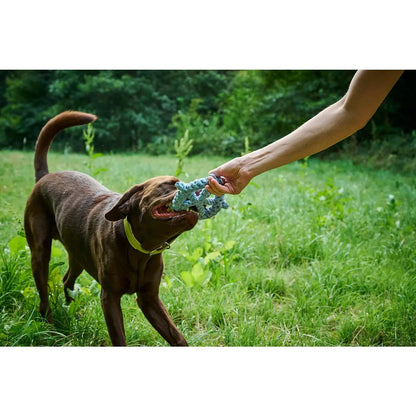 Skipper - Kult-Spielzeug für Hunde