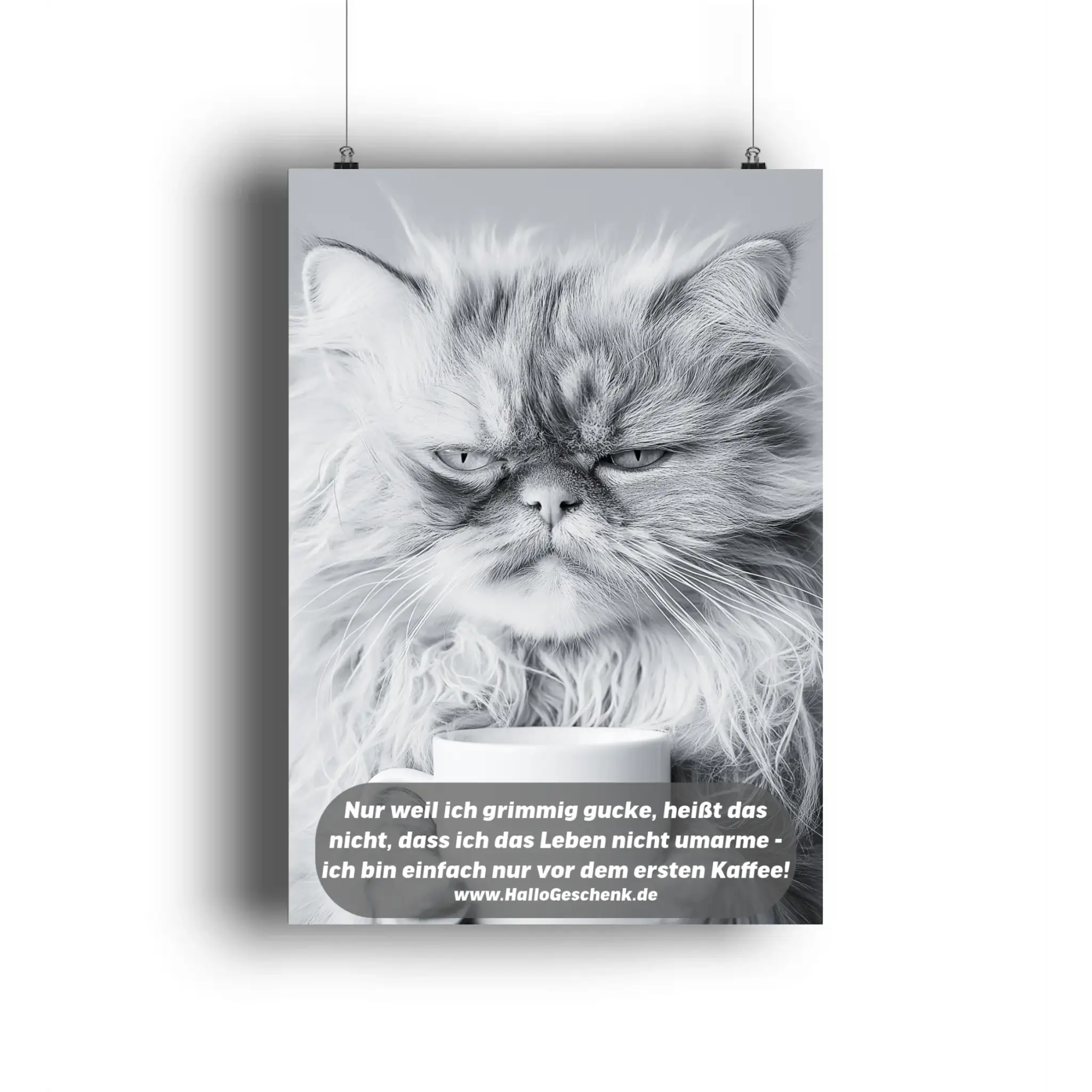 Sprüche von HalloGeschenk.de als Poster DIN A3 oder A4
