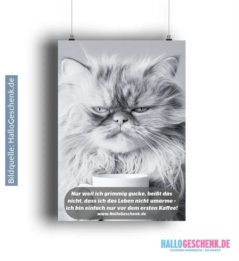 Sprüche von HalloGeschenk.de als Poster DIN A3 oder A4