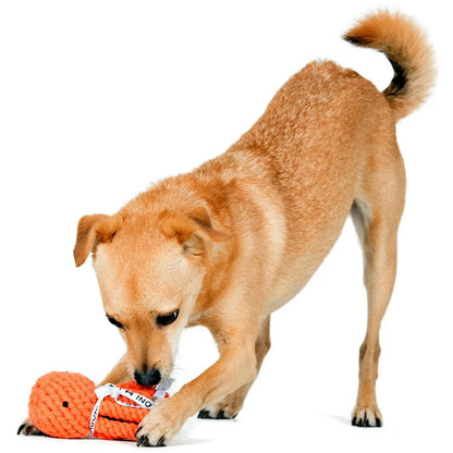 Thaddäus Tintenfisch - Kult-Spielzeug für Hunde