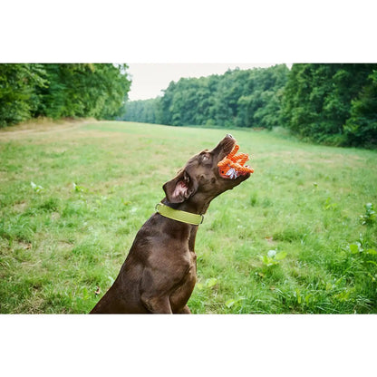 Thaddäus Tintenfisch - Kult-Spielzeug für Hunde