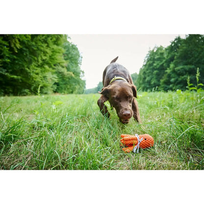 Thaddäus Tintenfisch - Kult-Spielzeug für Hunde