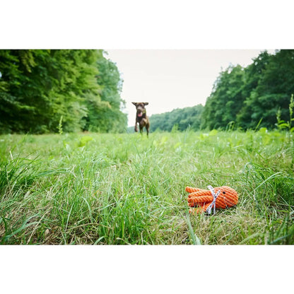 Thaddäus Tintenfisch - Kult-Spielzeug für Hunde