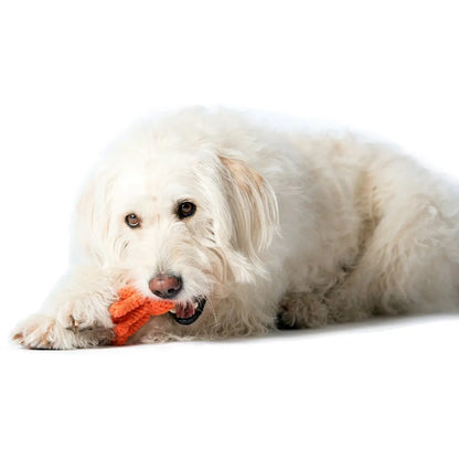 Thaddäus Tintenfisch - Kult-Spielzeug für Hunde