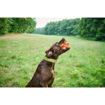 Thaddäus Tintenfisch - Kult-Spielzeug für Hunde