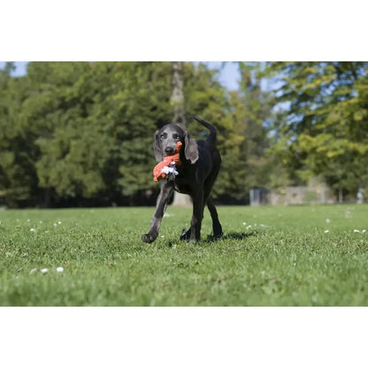 Timothy Tiger - Kult-Spielzeug für Hunde