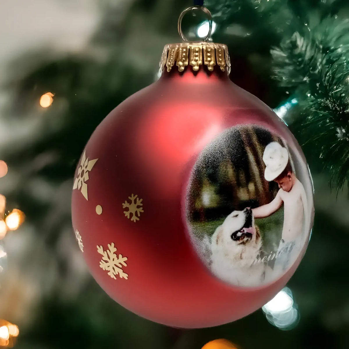 Weihnachtskugel aus rotem glas mit goldenen schneeflocken und personalisiertem foto von kind und hund